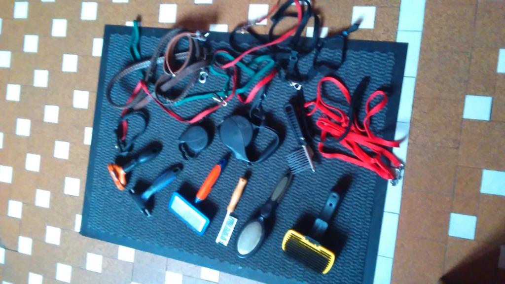 Accessoires toilettage chien chat, Animaux & Accessoires, Enlèvement, Utilisé