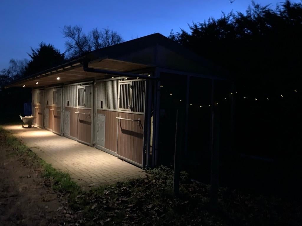 TE HUUR – 4 paardenboxen, Dieren en Toebehoren, Stalling, 1 paard of pony