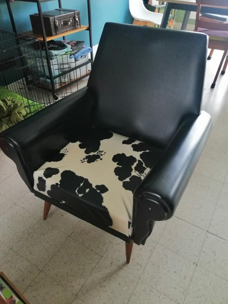 Zwarte éénzit, Enlèvement