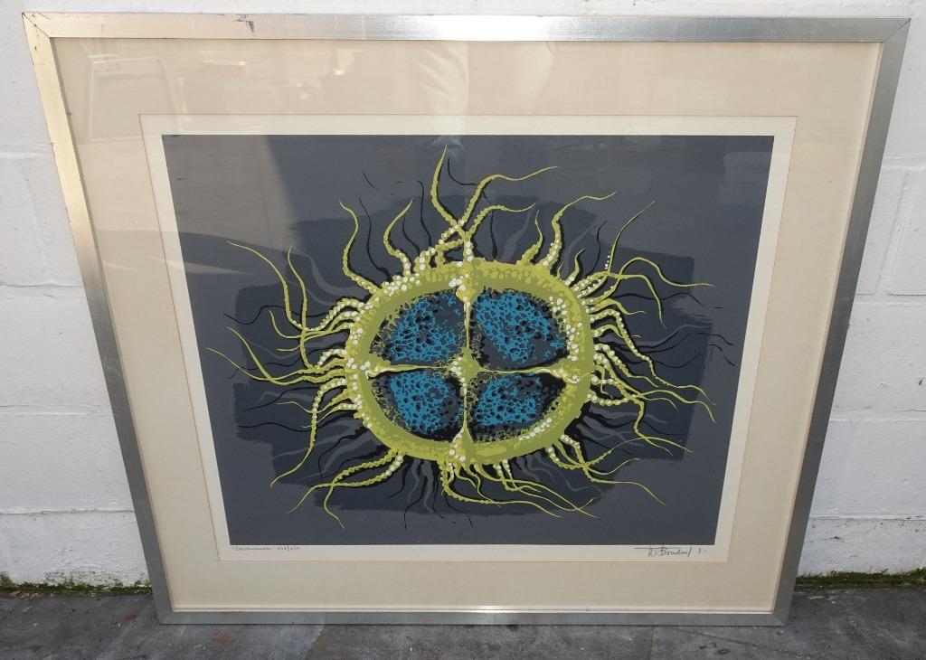 ANÉMONE DE MER WILLY BOSSCHEM LITHO ABSTRAIT VINTAGE MODERNE, Antiquités & Art, Enlèvement ou Envoi