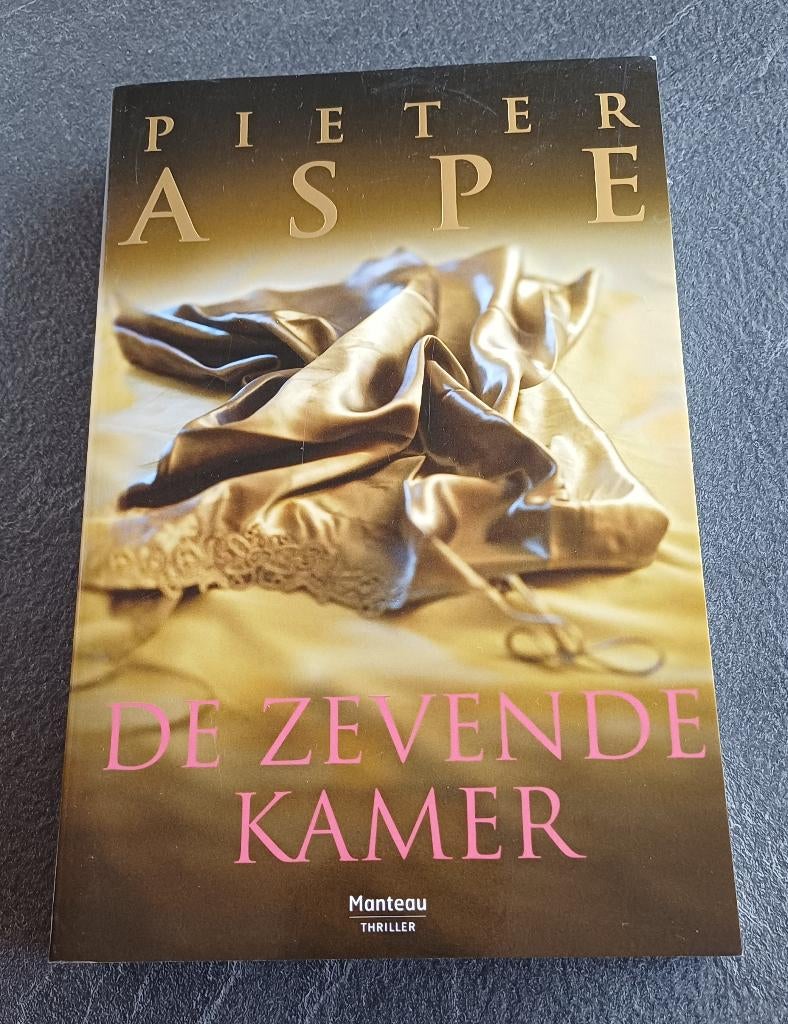 boek Pieter Aspe - De zevende kamer, Enlèvement ou Envoi, Utilisé, Pieter Aspe