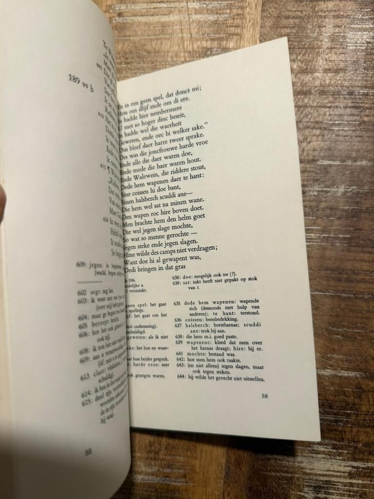 Lanceloet en het hert met de witte voet, Ophalen of Verzenden, Gelezen, Dr. Maartje Draak, Nederland