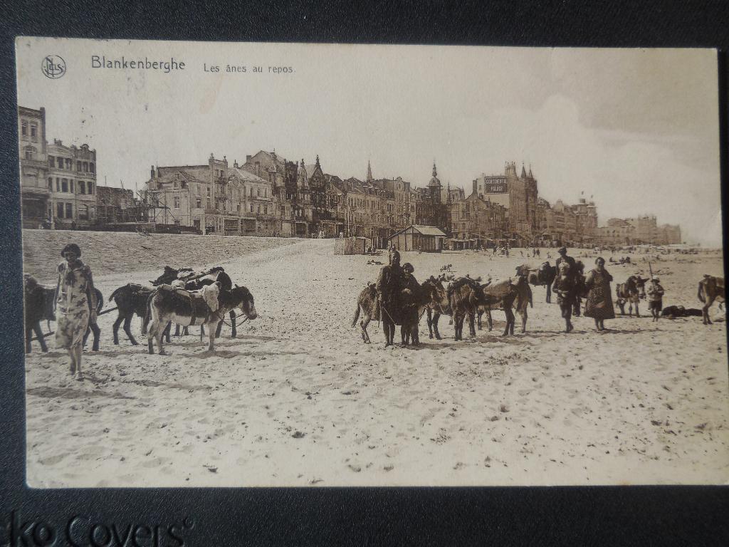 postkaart Blankenberge De ezeltjes in rust, Verzenden, 1920 tot 1940, Gelopen, West-Vlaanderen