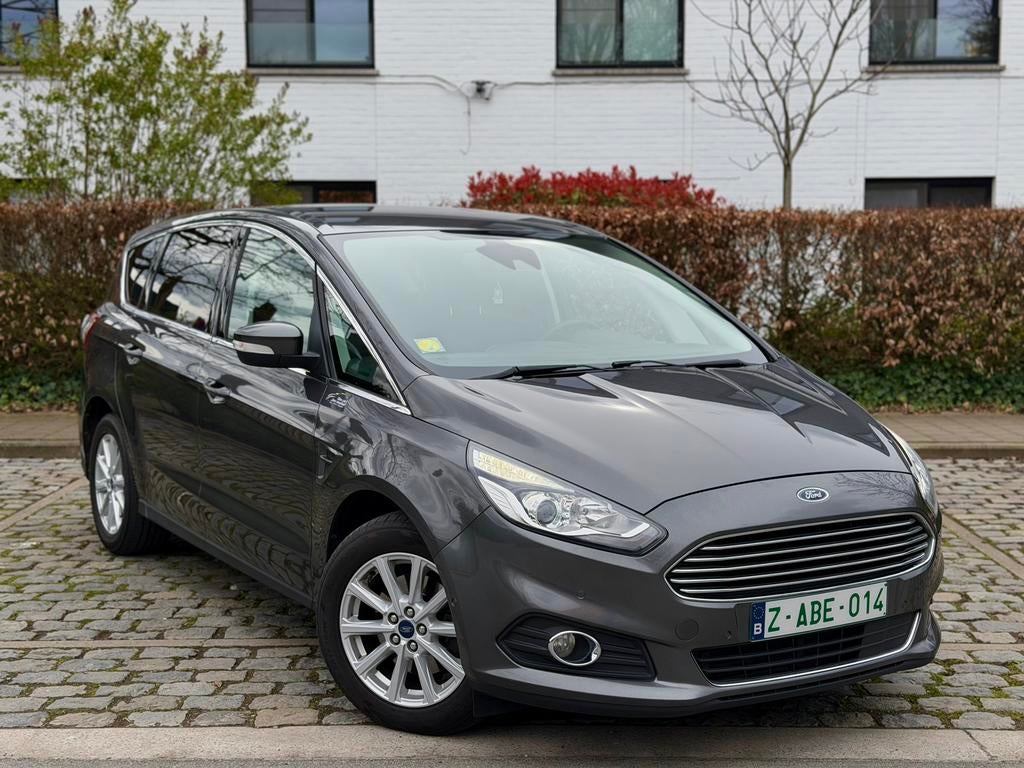 Ford S-Max 2.0TDCI Titanium Automaat - Euro 6B!, Auto's, 5 deurs, Particulier, Zilver of Grijs, S-Max
