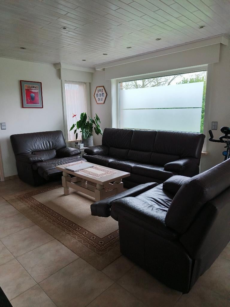 SALON IN LEDER, Ophalen, Gebruikt, Overige maten, Klassiek