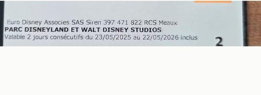 Ticket Disneyland 2 jours 2 parcs, Tickets en Kaartjes, Ticket of Toegangskaart