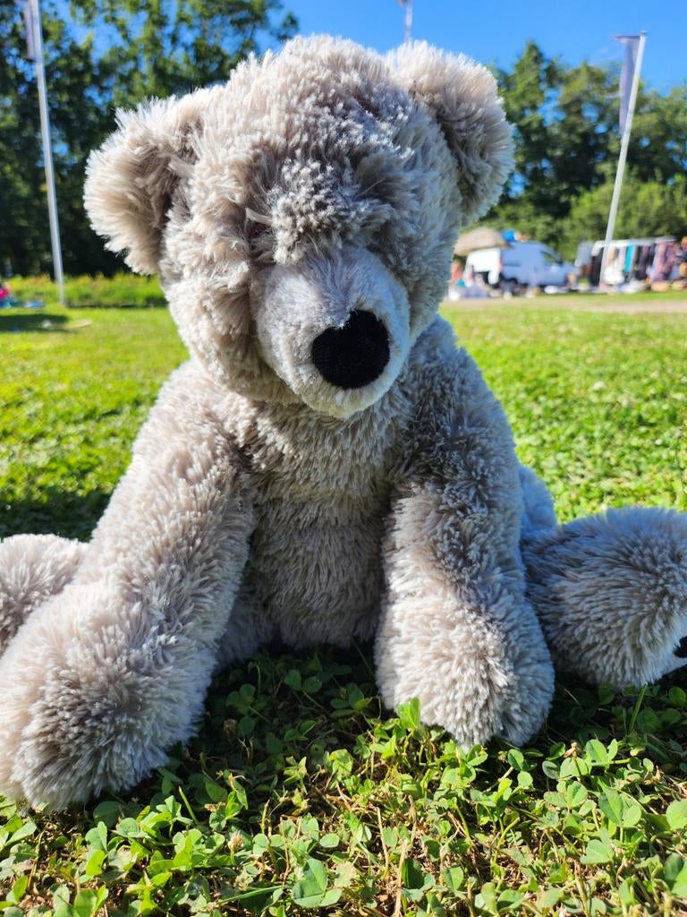Peluche ours, Enlèvement ou Envoi