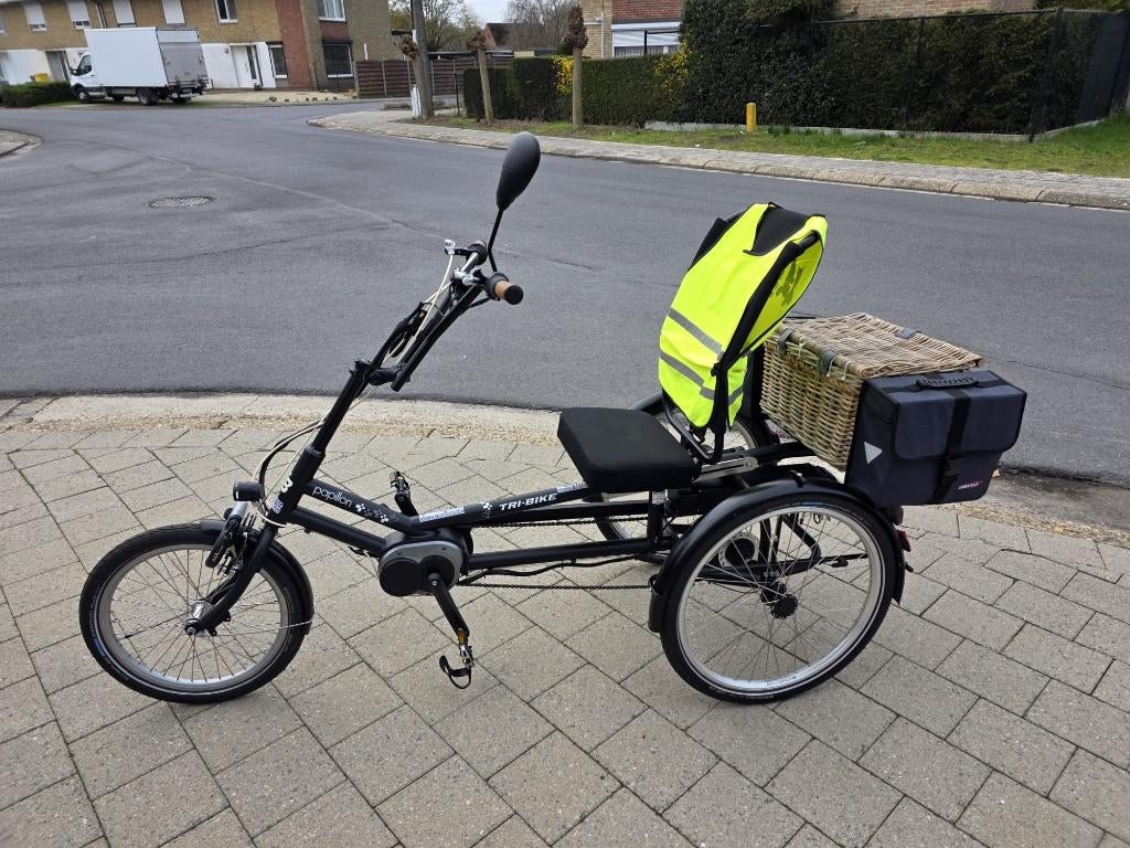 Electrische driewielfiets, Ophalen, Zo goed als nieuw, TRI BIKE