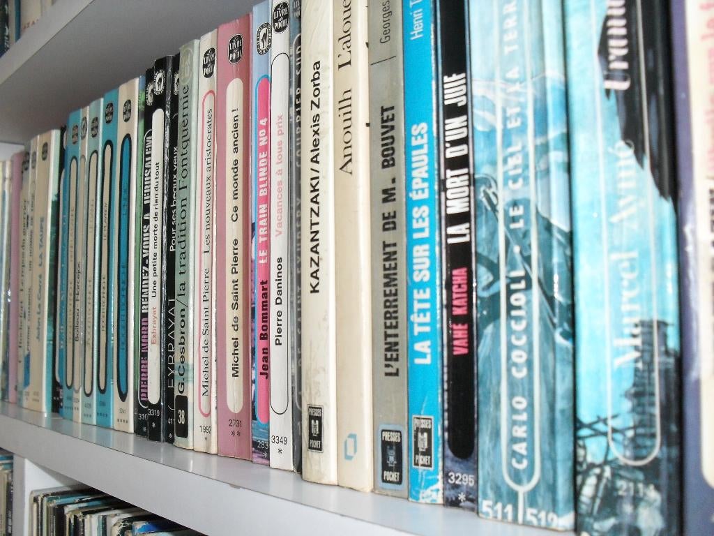 50 Franse romans Livre de Poche, Ophalen of Verzenden, Gelezen, Europa overig