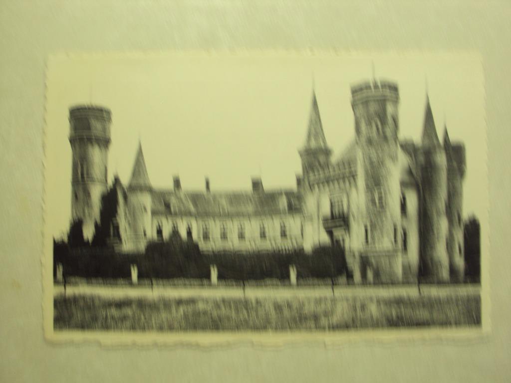 56865 - TORHOUT - KASTEEL VAN WIJNENDALE, Verzenden