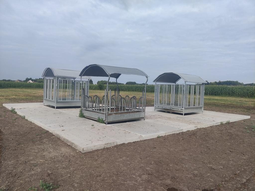 Verharding betonplaten stelcon voor de winter., Weidegang, 4 paarden of pony's of meer