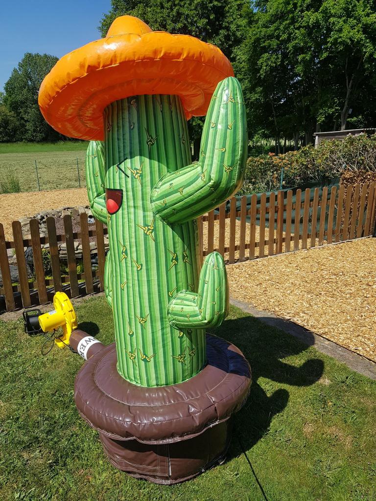 Cactus ringgooien - TE KOOP, Ophalen, Zo goed als nieuw