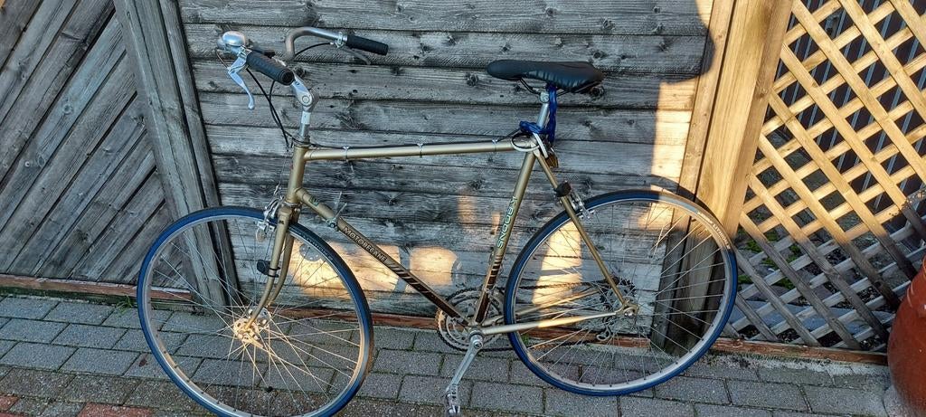 Vélo rétro léger pour homme, Vélos & Vélomoteurs, Enlèvement