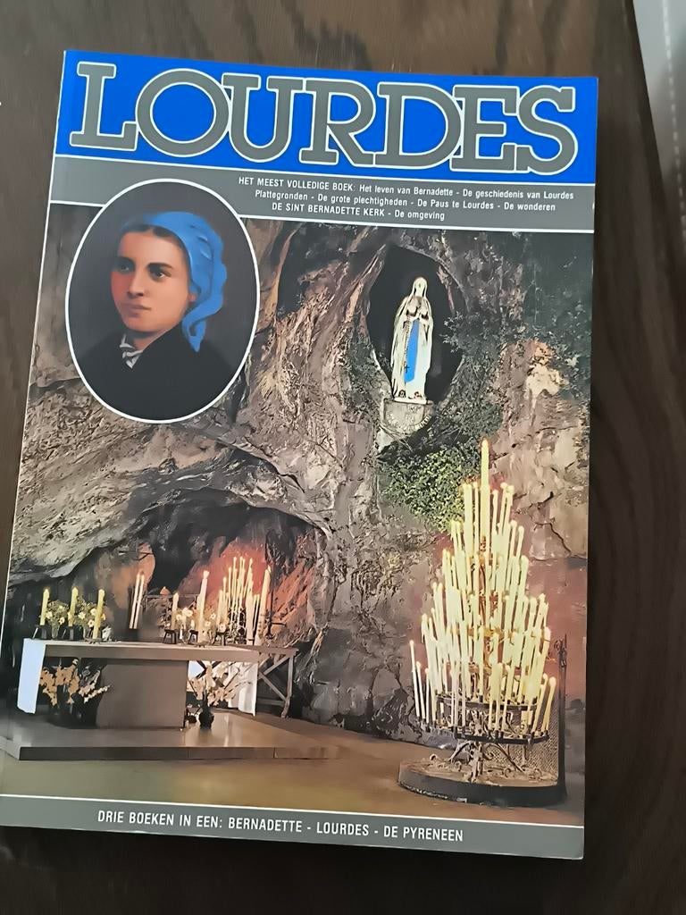 Boek Lourdes Bernadette De Pyreneeën, Ophalen of Verzenden, Zo goed als nieuw