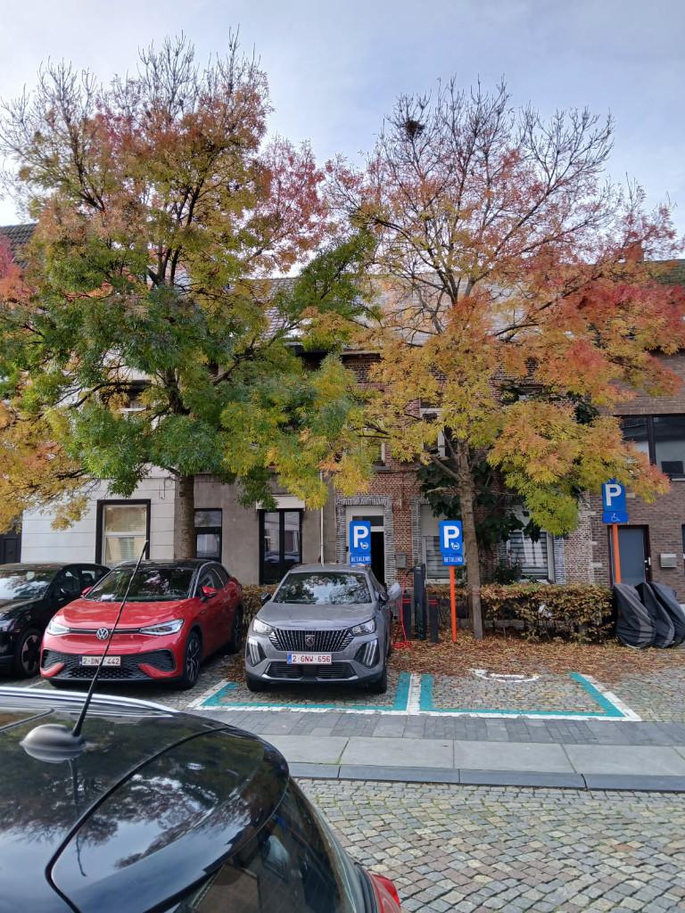 Maison au cœur de Malines, état brut, toit isolé neuf, Immo, Maisons à vendre, Malines, Maison 2 façades, Mechelen, 116 m²