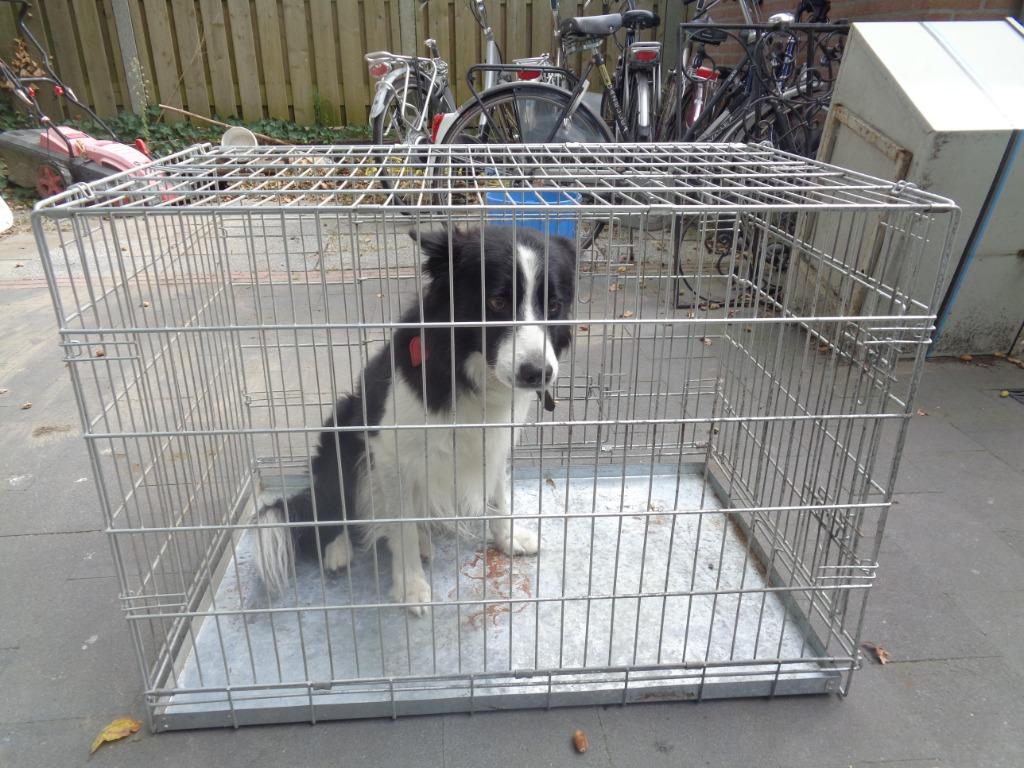Cage pour chien robuste en acier galvanisé 90 x 60 x 60 cm, Animaux & Accessoires, Enlèvement, Utilisé