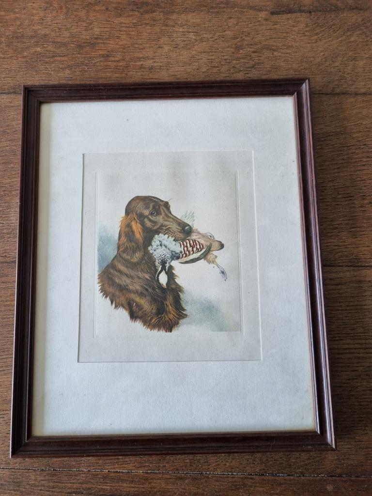 Print setter, Ophalen of Verzenden