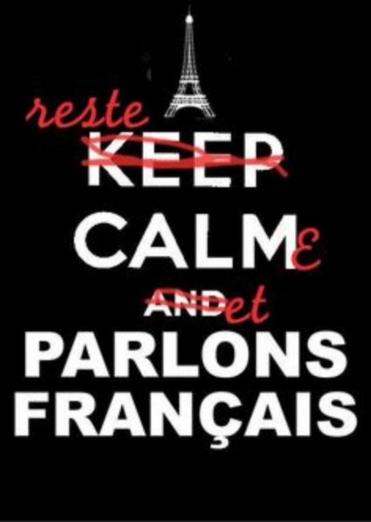 Bijlessen Frans, Privéles, Bijles