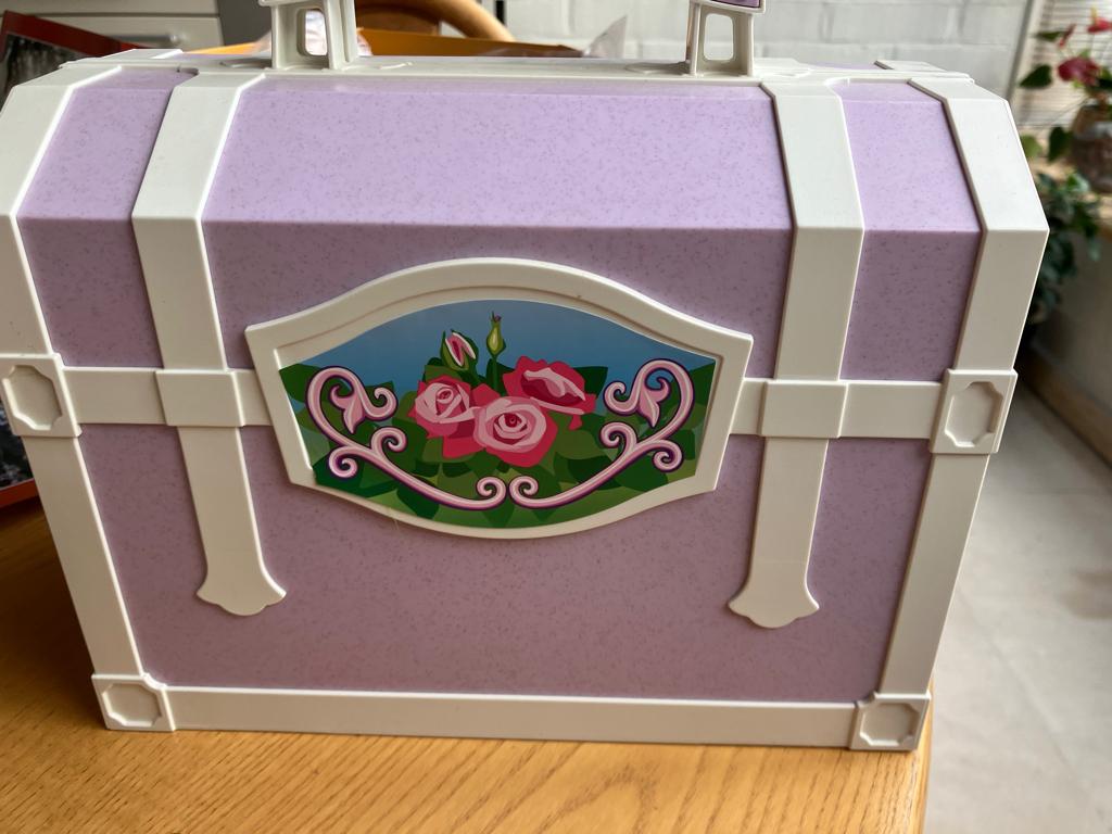 playmobil meeneem prinsessen verjaardag, Ophalen