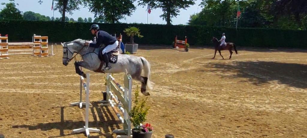 Springpaarden gezocht om in training te nemen, Zadelmak