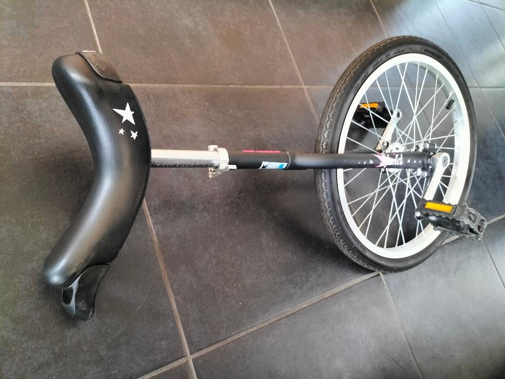 Eenwieler 20 inch, Autres marques, Enlèvement, Utilisé, Autres types