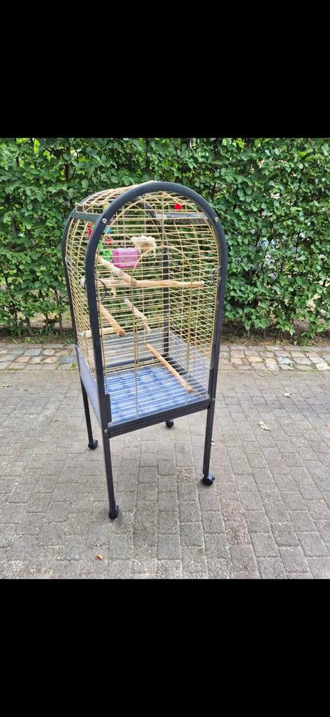 Papegaaienkooi,prima staat, Dieren en Toebehoren