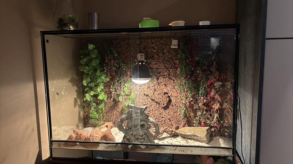 Grote terrarium 1m lang/71cm hoog/50cm breed, Dieren en Toebehoren, Ophalen