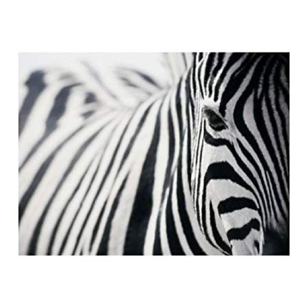 Mooi groot kader canvas ZEBRA, Ophalen, Zo goed als nieuw, 100 tot 125 cm, Foto of Poster