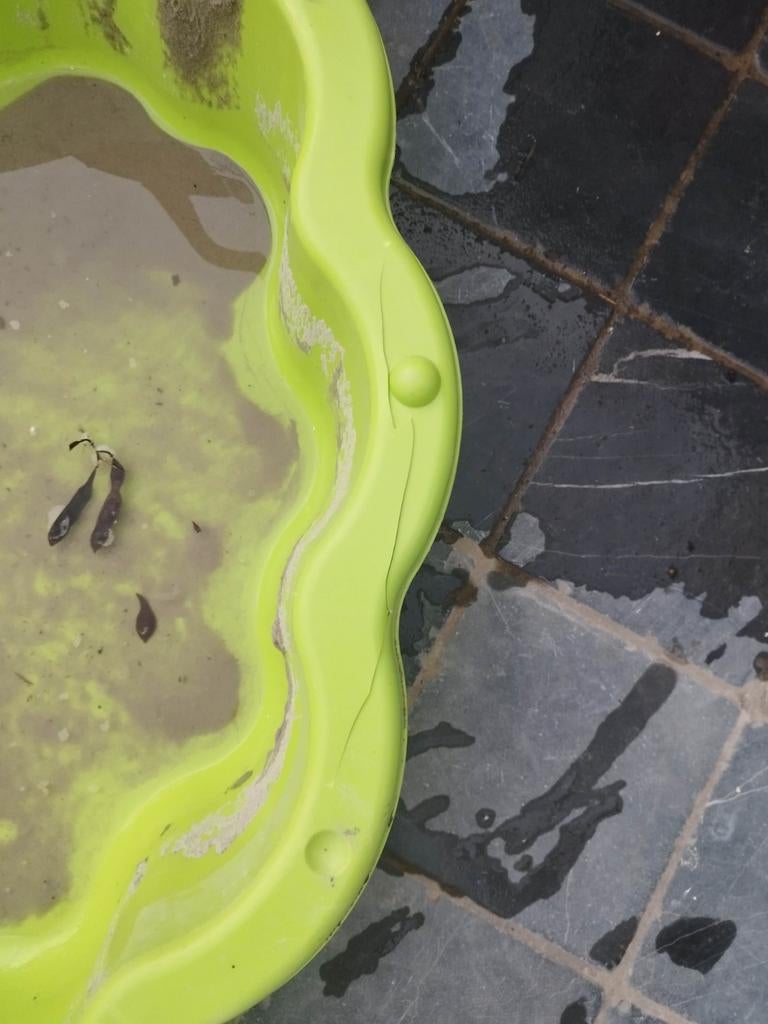 Gratis zandbak met zand, Tuin en Terras, Ophalen