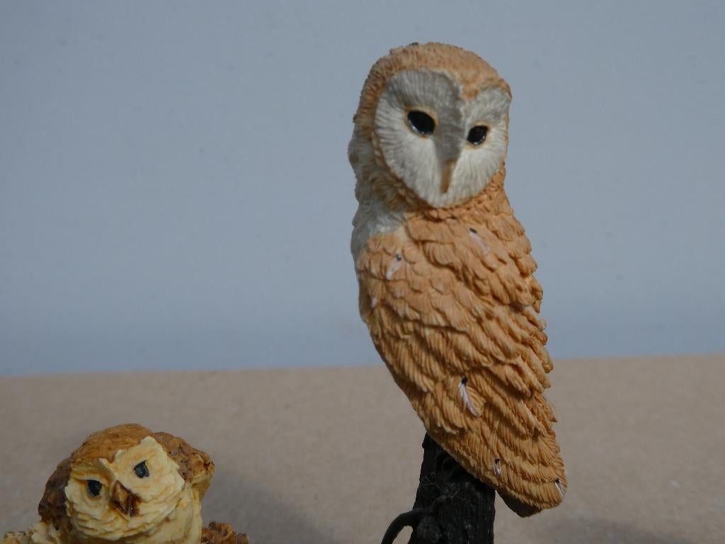 Set van 10 stuks leuke stenen uiltjes, aanbieding, Verzamelen, Beelden en Beeldjes, Zo goed als nieuw, Dier, Ophalen of Verzenden