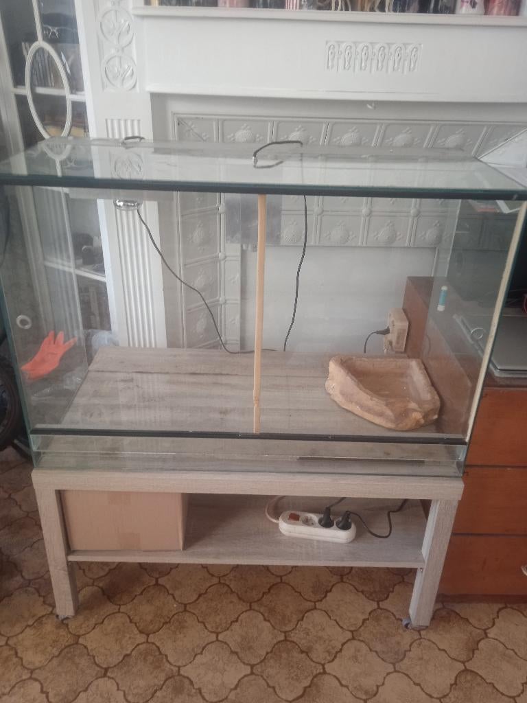 Terrarium moyen en verre, Animaux & Accessoires, Enlèvement, Comme neuf, Terrarium ou Paludarium