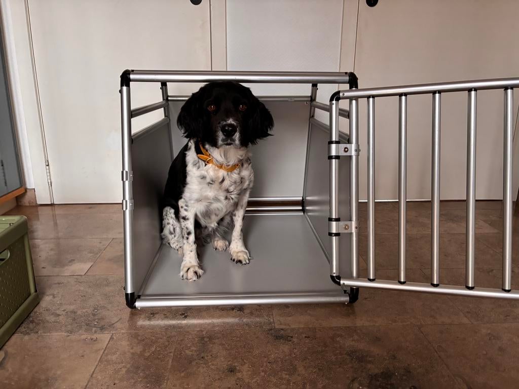 Auto Bench, large, Dieren en Toebehoren, Ophalen, Zo goed als nieuw