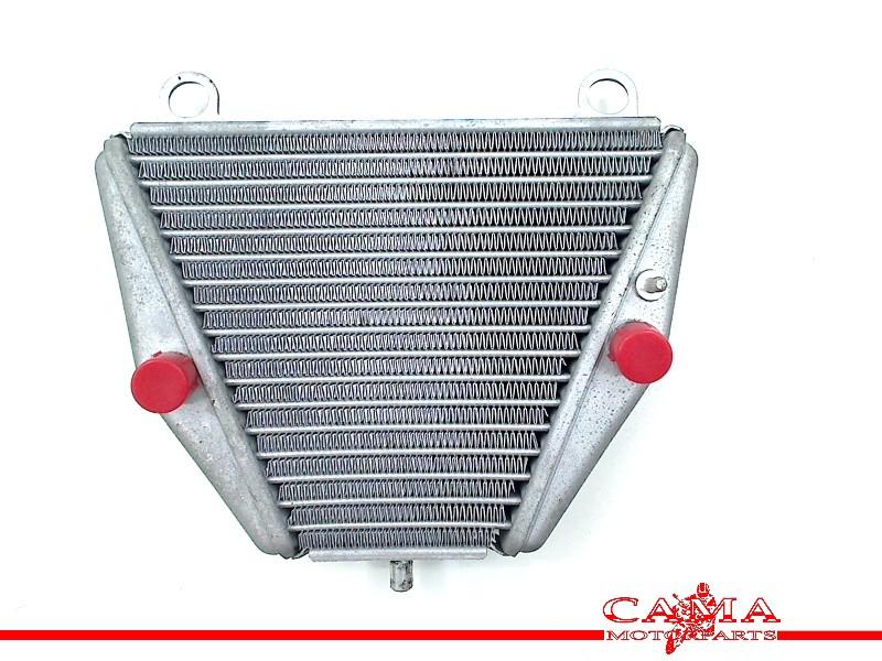 OLIEKOELER Ducati Panigale V4 2018- (01-2018/-) (54811363A), Dhr. S. di Majo, Gebruikt, Info@cama-motorparts.nl, P.J. Troelstraweg 8 8
3144 CX  MAASSLUIS, NL