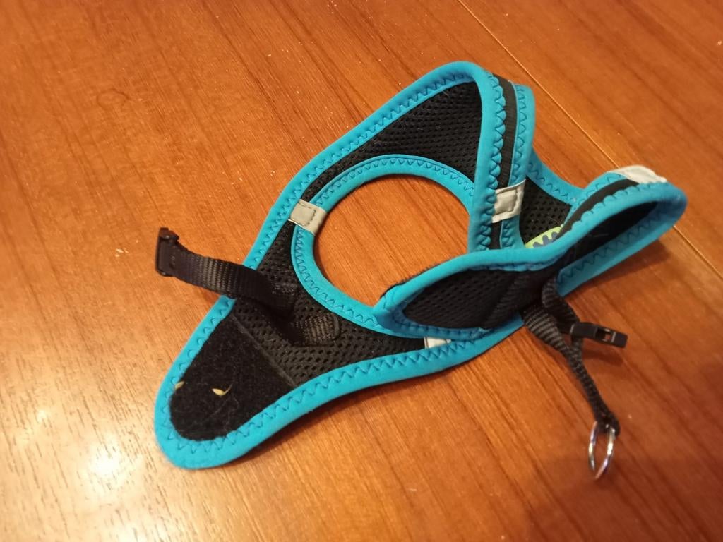 Harnais petit chien, Animaux & Accessoires, Accessoires pour chiens