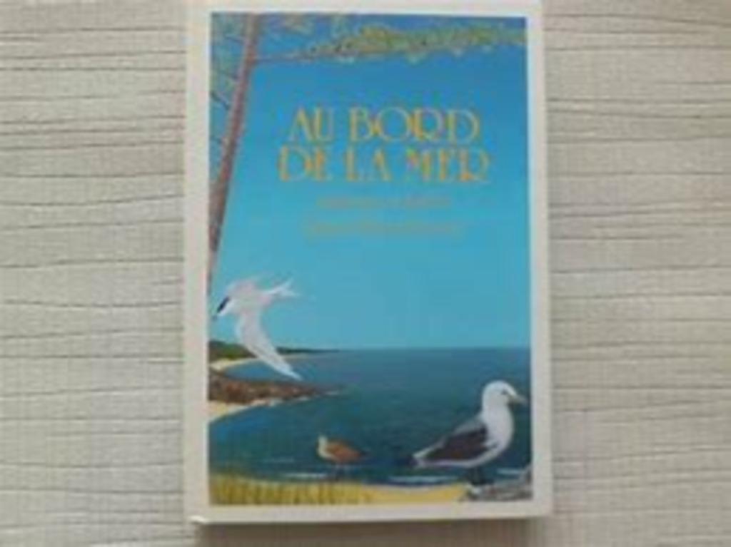 Au bord de la mer Duflos Brandicourt, Livres, Enlèvement ou Envoi, Comme neuf, Nature en général