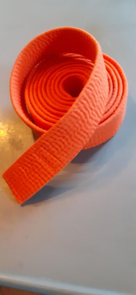 Ceinture arts martiaux orange 300 cm, Sports & Fitness, Enlèvement ou Envoi, Utilisé