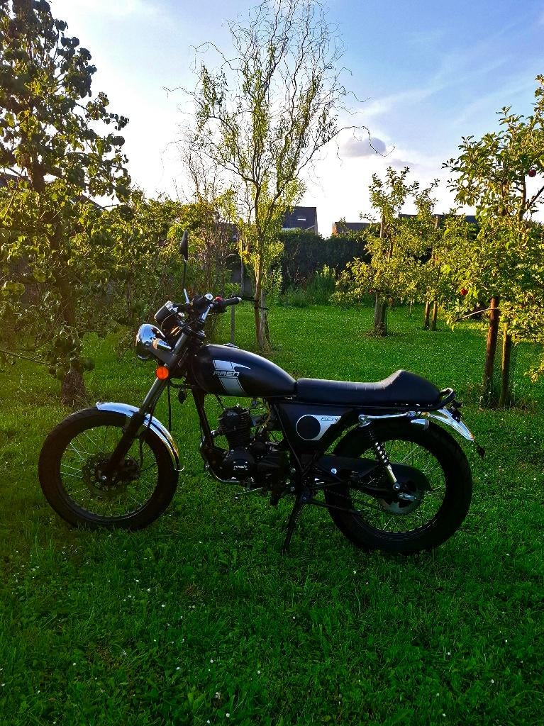 Mash 50, Autres marques, 4 vitesses, 49 cm³, Enlèvement