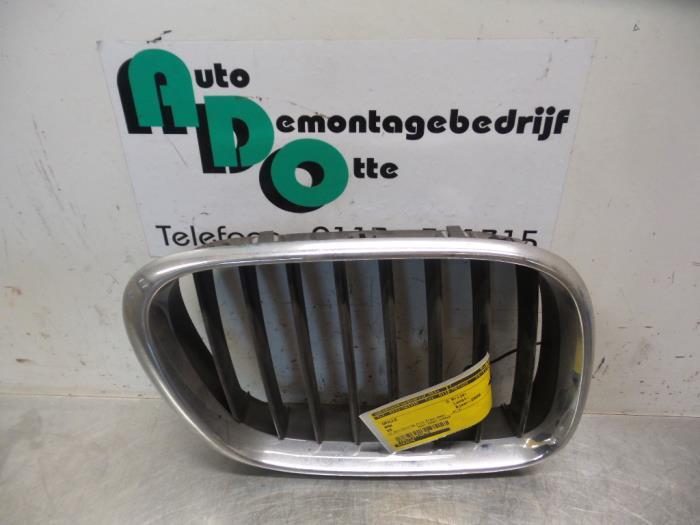 Calandre d'un BMW X5, -, 3 mois de garantie, Utilisé, -