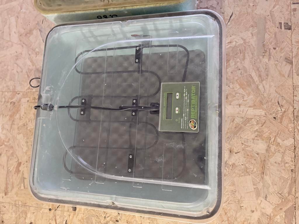 2 x reptibator broedstoof, Ophalen, Zo goed als nieuw