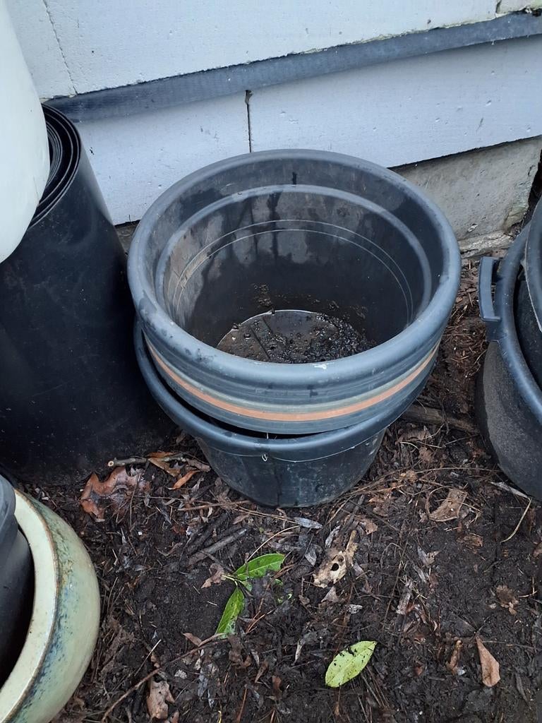 Stevige plastic 20 liter bloempotten, Ophalen