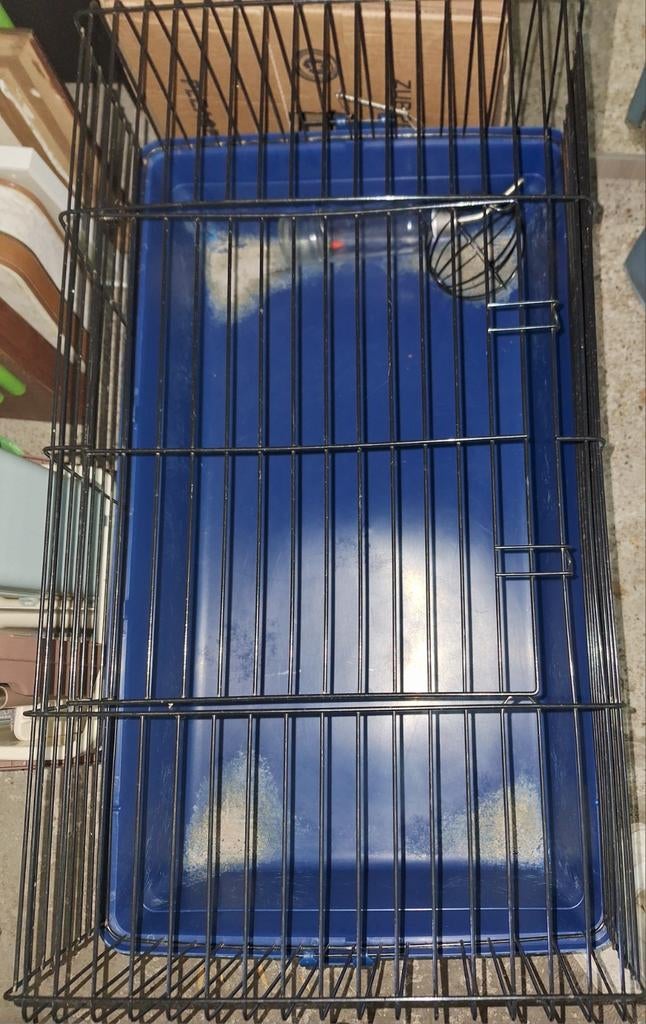 Hamsterkooi, Dieren en Toebehoren, Ophalen