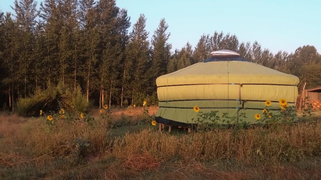 Yurt - joert 🎪, Ophalen, Gebruikt