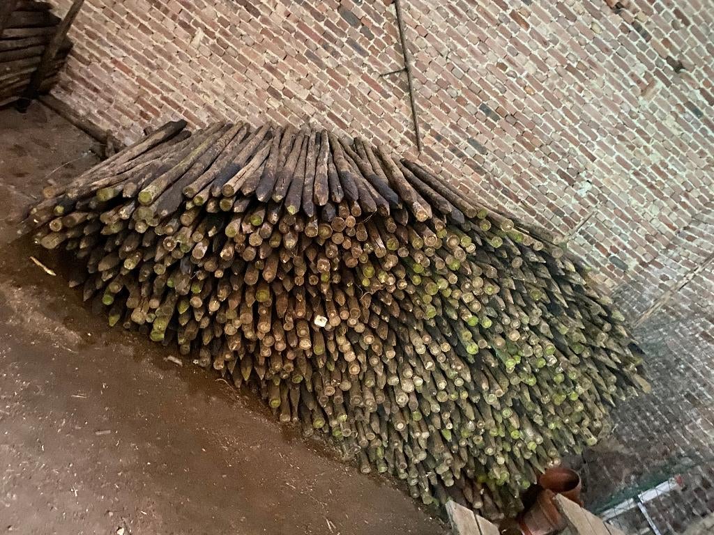Weidepalen 2,5m, Enlèvement, Utilisé, 250 cm ou plus, Poteaux