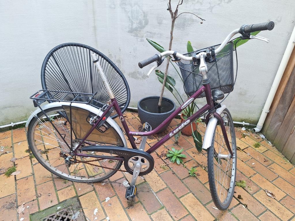 Oude fiets, Enlèvement