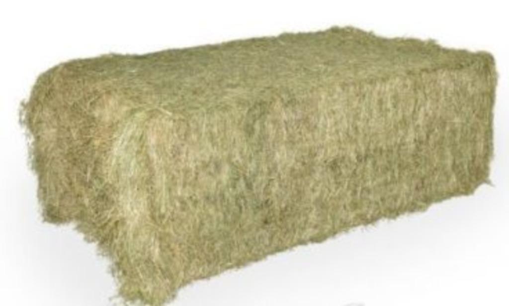 grote balen hooi te koop, Articles professionnels, Enlèvement ou Envoi