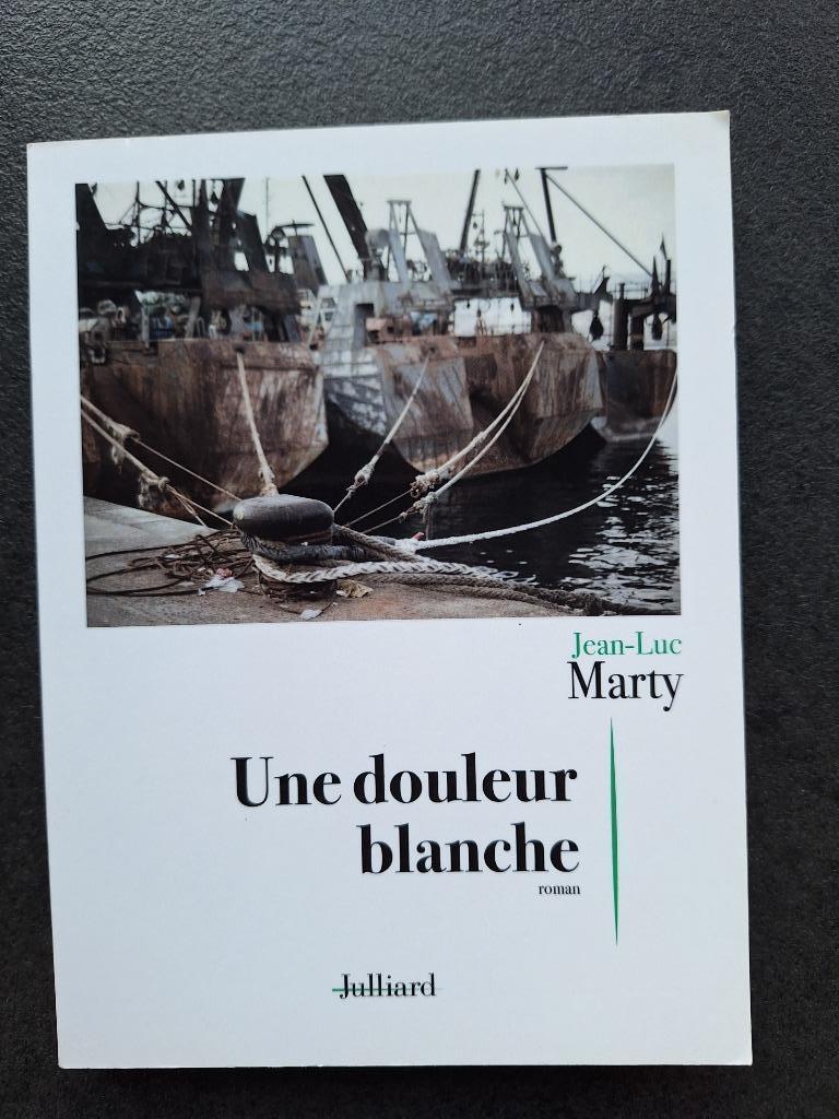 La douleur blanche - Jean-Luc Marty, Enlèvement ou Envoi, Comme neuf, Jean-Luc Marty