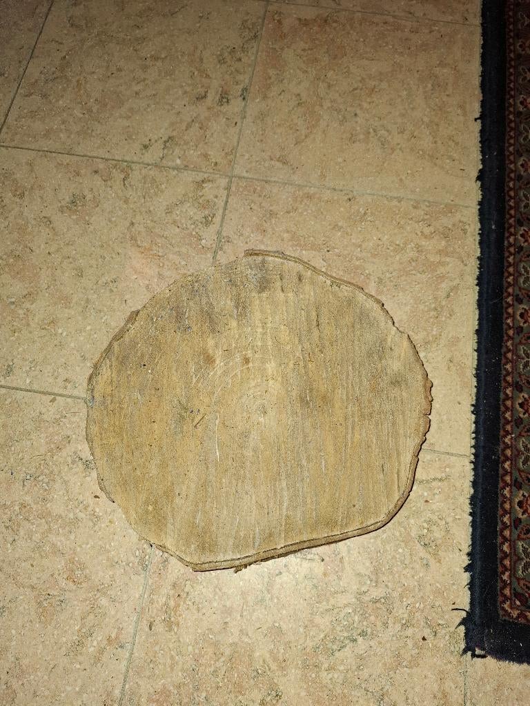 Houten schijf 30 cm, Ophalen, Nieuw, Eiken