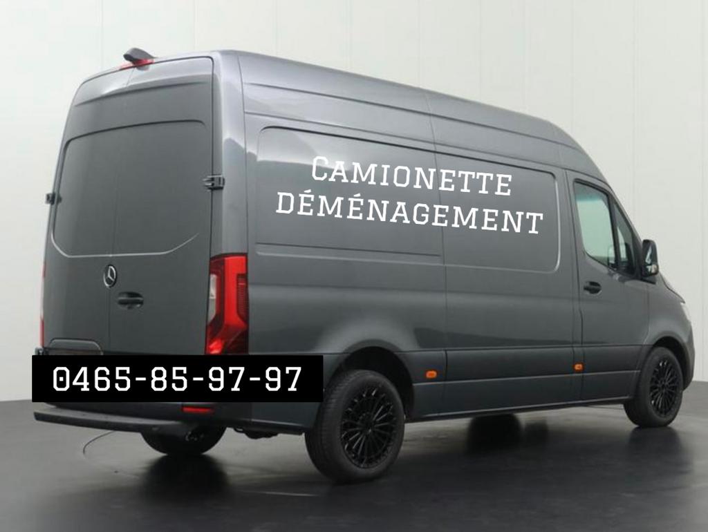 Camionette déménagement ( verhuizen ), Enlèvement ou Envoi, Comme neuf