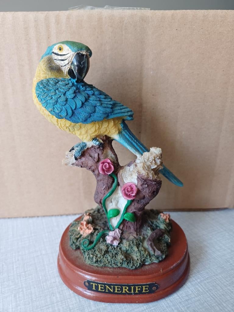 Papegaai van Tenerife, Verzamelen, Ophalen of Verzenden, Zo goed als nieuw, Dier