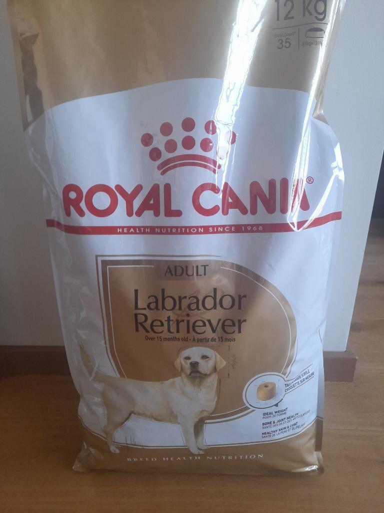 Royal Canin CROQUETTES Labrador, Enlèvement, Chien